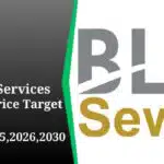 BLS E-Services Share Price Target